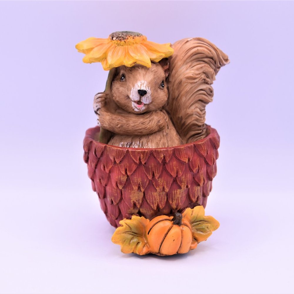 Squirrel in a Pine Cone